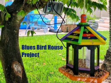 Bird Detection With Tinyml And A Blues Notecard